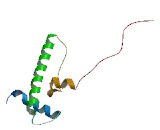 Cytotoxic T-Lymphocyte Associated Antigen 2 Alpha (CTLA2a)