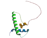 Cytotoxic T-Lymphocyte Associated Antigen 2 Beta (CTLA2b)