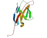 Cytotoxic T-Lymphocyte Associated Antigen 4 (CTLA4)