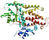 DALR Anticodon Binding Domain Containing Protein 3 (DALRD3)