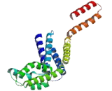 DAZ Interacting Protein 1 (DZIP1)