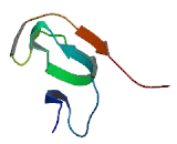 DC-STAMP Domain Containing Protein 1 (DCST1)