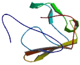 DC-STAMP Domain Containing Protein 2 (DCST2)