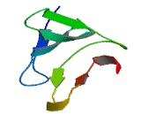 DDB1 And CUL4 Associated Factor 11 (DCAF11)