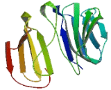 DDB1 And CUL4 Associated Factor 12 Like Protein 1 (DCAF12L1)