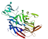 DDB1 And CUL4 Associated Factor 15 (DCAF15)