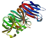 DDB1 And CUL4 Associated Factor 6 (DCAF6)