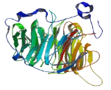 DDB1 And CUL4 Associated Factor 8 Like Protein 1 (DCAF8L1)