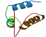 DDRGK Domain Containing Protein 1 (DDRGK1)