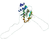 DEAD Box Polypeptide 24 (DDX24)