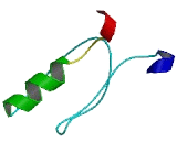 DEAD Box Polypeptide 28 (DDX28)