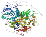 DEAD Box Polypeptide 37 (DDX37)