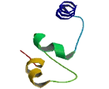 DEAD Box Polypeptide 51 (DDX51)