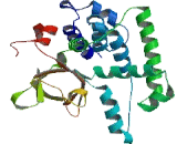 DEAH Box Polypeptide 38 (DHX38)