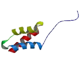 DEK Oncogene (DEK)