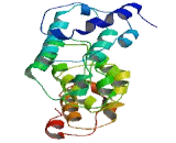 DENN/MADD Domain Containing Protein 2C (DENND2C)