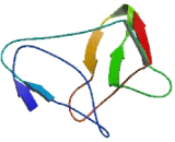 DENN/MADD Domain Containing Protein 2D (DENND2D)