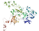 DENN/MADD Domain Containing Protein 3 (DENND3)