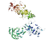 DENN/MADD Domain Containing Protein 4B (DENND4B)