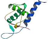 DEP Domain Containing Protein 1 (DEPDC1)