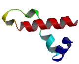 DEP Domain Containing Protein 7 (DEPDC7)