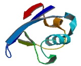 DNA Damage Inducible Protein 2 (DDI2)