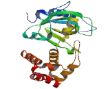 DNA Methyltransferase 1 (DNMT1)