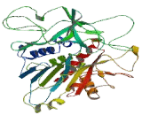 DNA Methyltransferase 1 Associated Protein 1 (DMAP1)