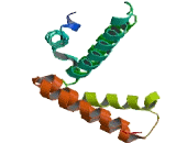 DPY30 Domain Containing Protein 2 (DYDC2)