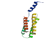 DSN1, MIND Kinetochore Complex Component Homolog (DSN1)