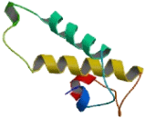 DTW Domain Containing Protein 2 (DTWD2)