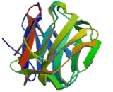 Damage Specific DNA Binding Protein 2 (DDB2)