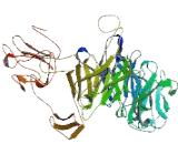 De-Etiolated Homolog 1 (DET1)