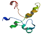 Death Effector Domain Containing Protein (DEDD)