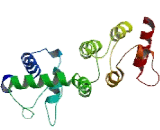 Defective In Cullin Neddylation 1, Domain Containing Protein 4 (DCUN1D4)