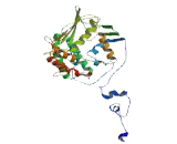 Defects In Morphology Protein 1 (DEM1)