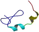 Deformed Epidermal Autoregulatory Factor 1 (DEAF1)