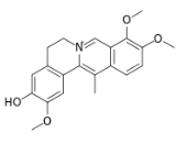 Dehydrocorybulbine (DHCB)