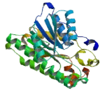 Dehydrogenase/Reductase SDR Family, Member 12 (DHRS12)