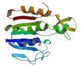 Dehydrogenase/Reductase SDR Family, Member 7C (DHRS7C)