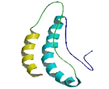 Dehydrogenase/Reductase SDR Family, Member 9 (DHRS9)