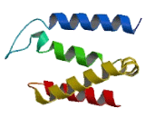 Deleted In Lymphocytic Leukemia 7 (DLEU7)