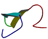 Delta Like Protein 3 (dLL3)