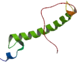 Delta-Sleep Inducing Peptide (dSIP)