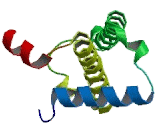 Deoxycytidine Triphosphate Pyrophosphatase 1 (DCTPP1)