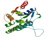 Deoxyguanosine Kinase (DGUOK)