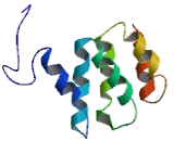 Deoxyhypusine Hydroxylase/Monooxygenase (DOHH)