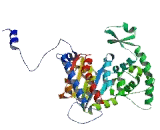 Deoxyhypusine Synthase (DHPS)