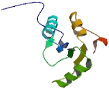 Deoxynucleotidyltransferase, Terminal (DNTT)