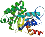 Deoxyribose Phosphate Aldolase (DERA)